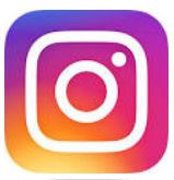 inst icon